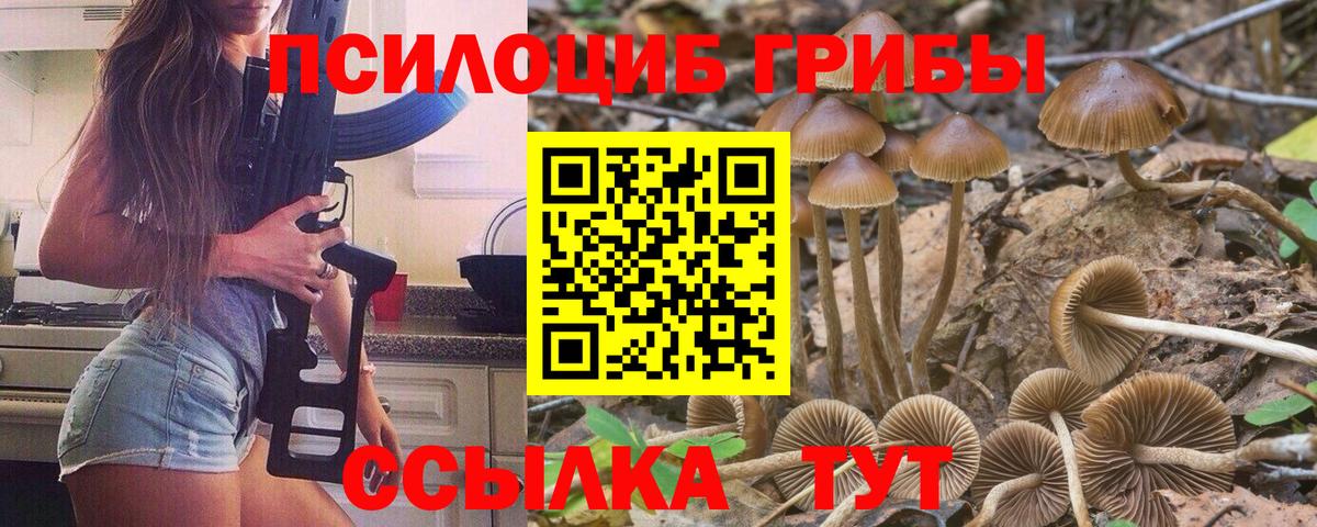 Псилоцибиновые грибы Psilocybe  Вход с VPN  наркота  Людиново  Псилоцибиновые грибы MAGIC MUSHROOMS 